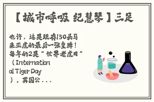 榴莲视频黄色